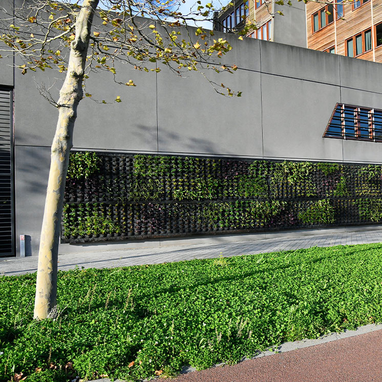 In opdracht van Sioen Industries en Greentexx hebben we het stadskantoor van de gemeente Middelburg veranderd van een betonnen massa naar een duurzame oase.
